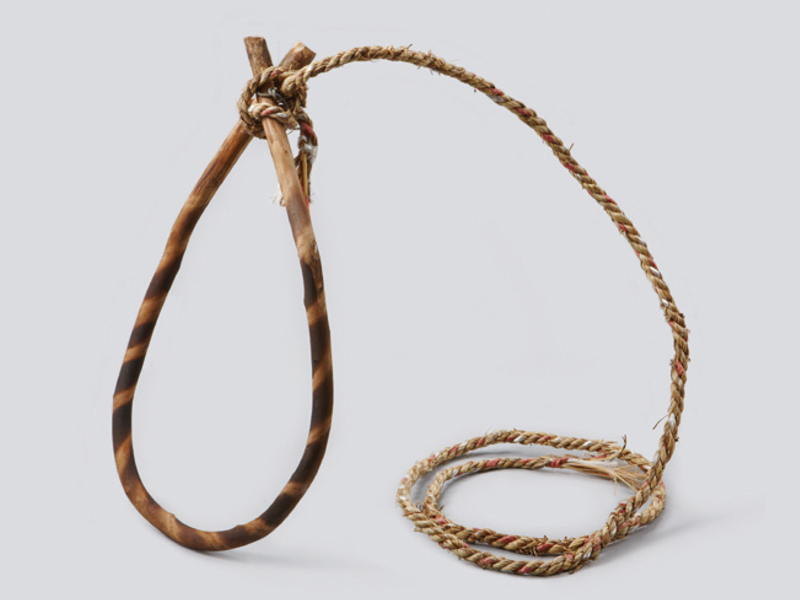 돌레코(코뚜레)