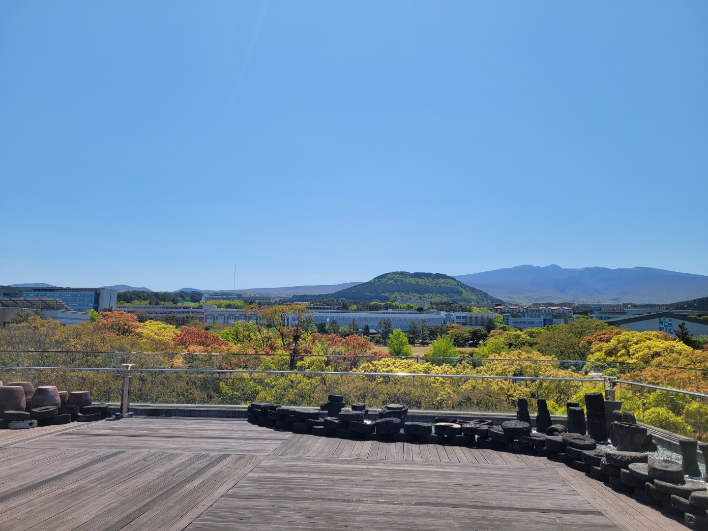 제주대학교 풍경(4월19일)
