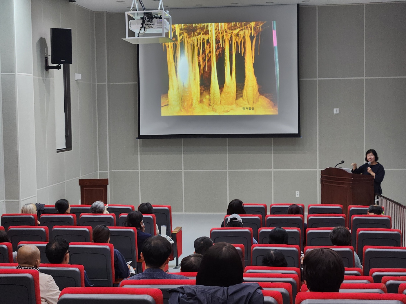 2024 역사문화박물관대학 7강_숨 쉬는 제주자연, 곶자왈과 습지